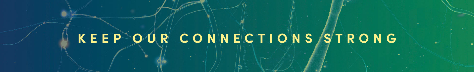 AHN Connections