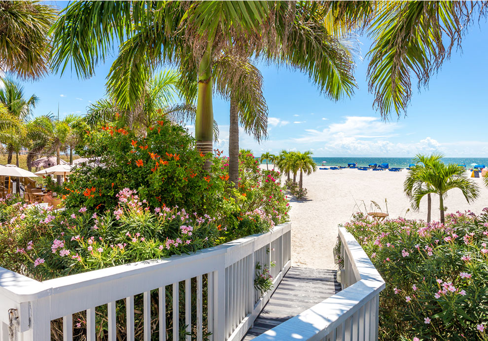 105496 NB Caribbean Img1