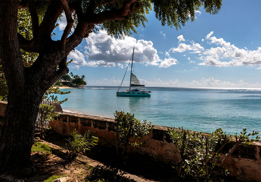 105496 NB Caribbean Img3